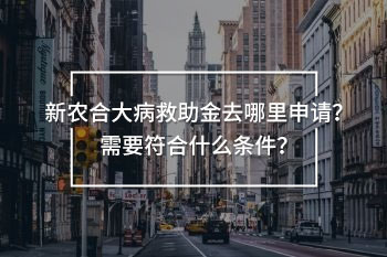 新農(nóng)合大病救助金去哪里申請(qǐng)
