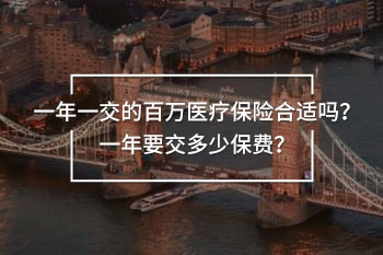 一年一交的百萬醫(yī)療保險(xiǎn)合適嗎