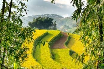 惠民保險(xiǎn)怎么報(bào)銷