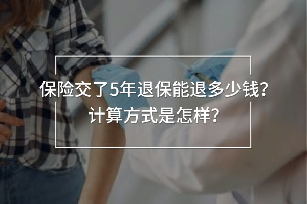 保險(xiǎn)交了5年退保能退多少錢計(jì)算