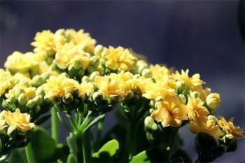 保費(fèi)交了沒簽字如何退保