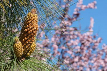 達(dá)到退休年齡已經(jīng)自己交社保要多少錢(qián)