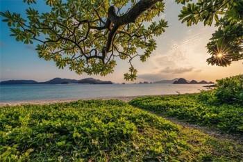分紅型保險(xiǎn)附加重疾險(xiǎn)能退保嗎