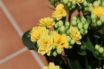 小額醫(yī)療險(xiǎn)哪個(gè)產(chǎn)品好