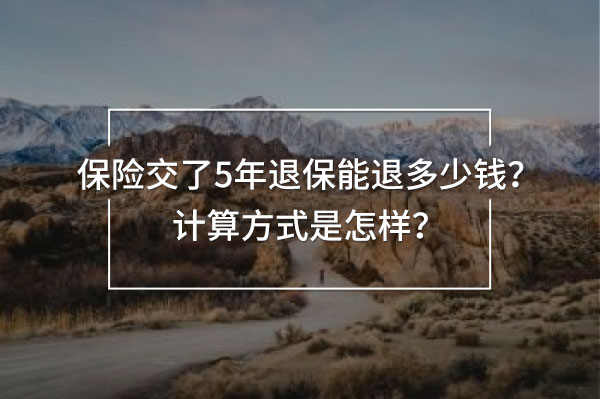 保險(xiǎn)交了5年退保能退多少錢計(jì)算