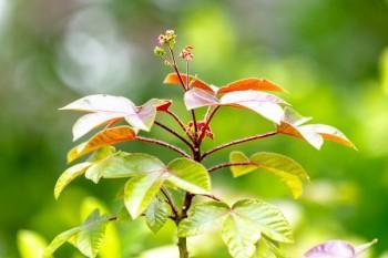 康悅百萬(wàn)醫(yī)療保險(xiǎn)怎么樣