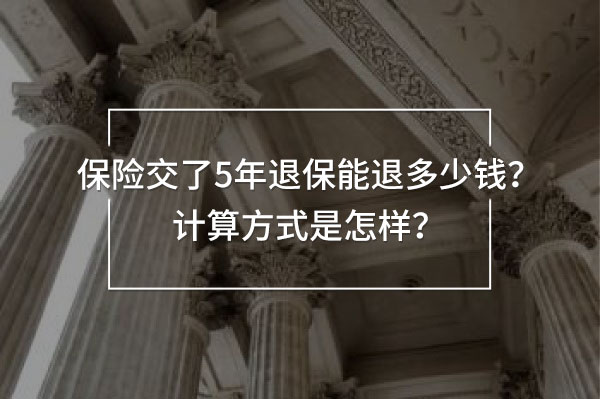 保險(xiǎn)交了5年退保能退多少錢計(jì)算