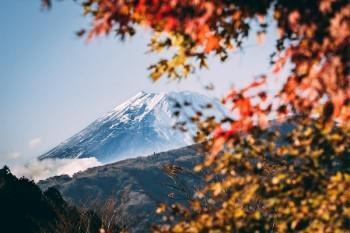 減額交清和退保哪個劃算