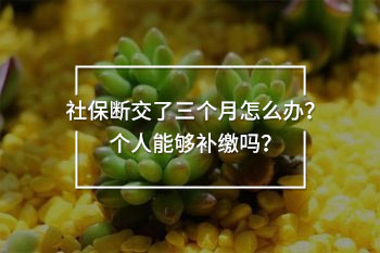 社保斷交了三個(gè)月怎么辦？個(gè)人能夠補(bǔ)繳嗎？