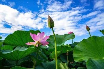 一年交12000交滿(mǎn)15年拿多少錢(qián)