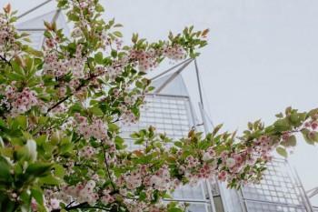 平安百萬醫(yī)療e生保2022版保費(fèi)