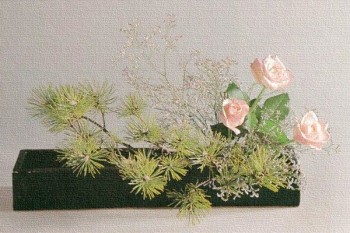 人壽國壽福退保怎么退