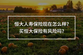 恒大人壽保險現(xiàn)在怎么樣