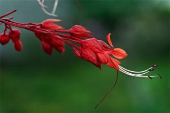 交保險(xiǎn)一年退保能退多少