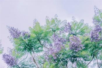 百萬醫(yī)療保險有哪些