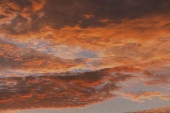 太平洋保險重疾退保能退多少錢
