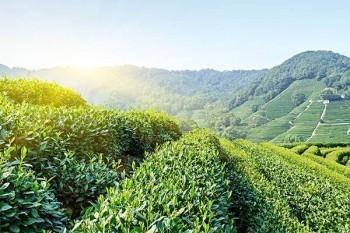 一個省不一個市醫(yī)保卡能用嗎