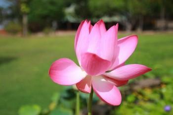 保險(xiǎn)交了3年要退保能給多錢(qián)