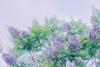 保險(xiǎn)<a href=