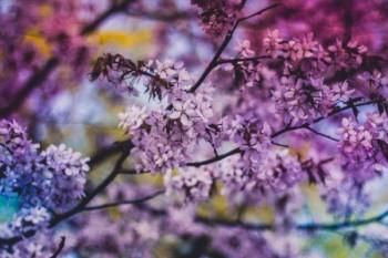 險(xiǎn)一年可以退保多少