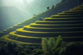 太平洋醫(yī)享無憂20年怎么購買？有什么優(yōu)缺點？