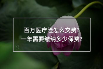 百萬(wàn)醫(yī)療險(xiǎn)怎么交費(fèi)