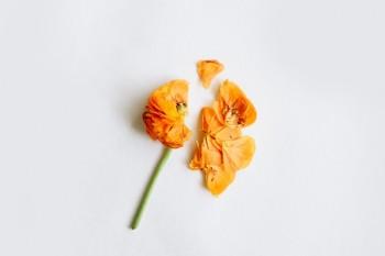 人壽分紅保險10年交滿可以退保嗎？退保方式是什么？	