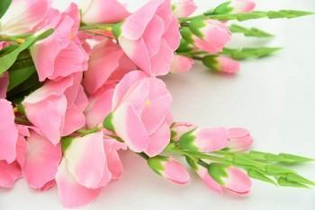 e享護(hù)-<a href=