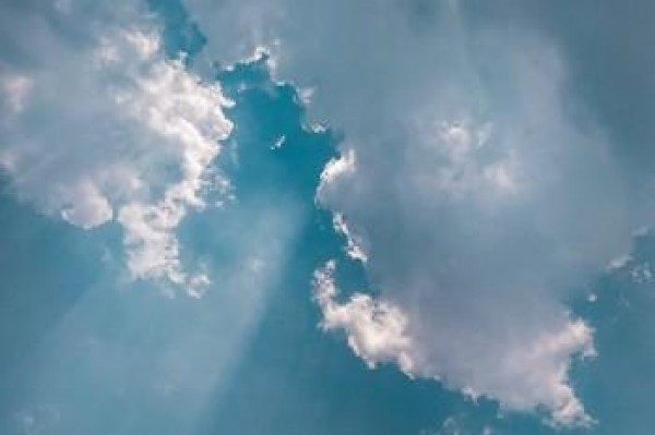 人壽保險退保怎樣可以退多少