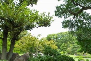 百萬(wàn)醫(yī)療跟住院醫(yī)療有什么區(qū)別 