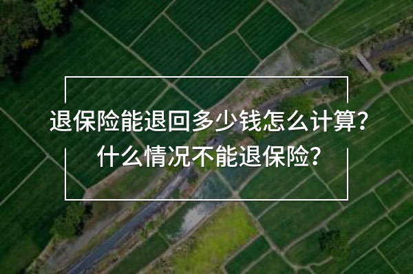 退保險(xiǎn)能退回多少錢怎么計(jì)算