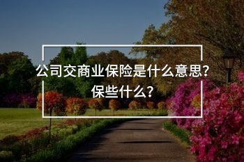 公司交商業(yè)保險(xiǎn)是什么意思