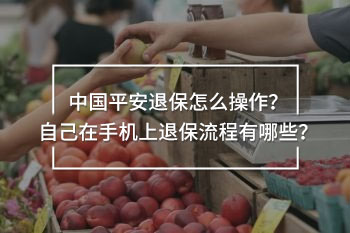 中國(guó)平安退保怎么操作