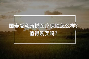 國壽愛意康悅醫(yī)療保險怎么樣