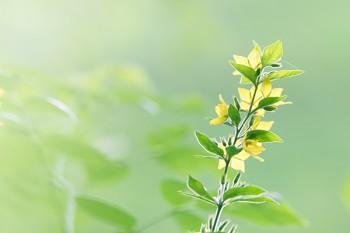 平安百萬醫(yī)療e生保2022版等待期是多久？適合哪些人買？
