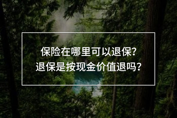 保險(xiǎn)在哪里可以退保