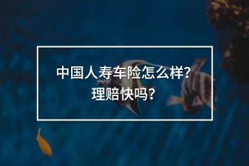 中國(guó)人壽車(chē)險(xiǎn)怎么樣