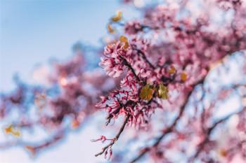 好醫(yī)保長(zhǎng)期醫(yī)療到底好不好