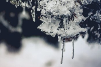 愛心守護神增額終身壽險怎么樣