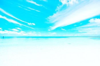 <a href=