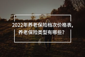 2022年養(yǎng)老保險檔次價格表