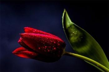 怎么查詢(xún)養(yǎng)老保險(xiǎn)詳細(xì)信息