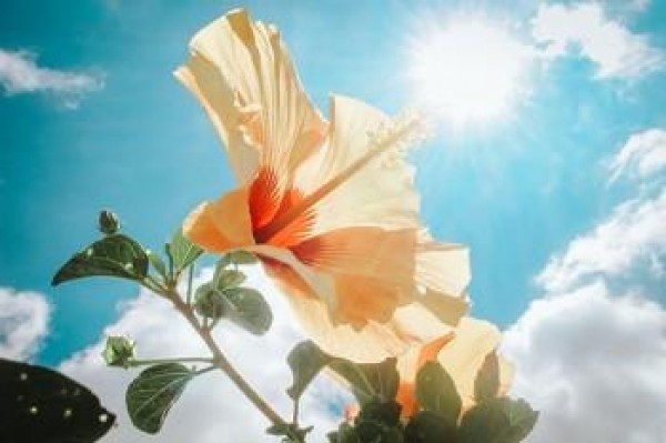 社?？ㄈツ睦锛せ? /></p>
<p><strong>二、社保卡去哪里激活</strong></p>
<p>社?？ㄏ胍せ畹脑?，可以有以下幾種方法可以進(jìn)行激活：</p>
<p>1、直接去社保局進(jìn)行激活</p>
<p>可以帶上身份證以及社?？?，去往當(dāng)?shù)氐纳绫＞址?wù)窗口進(jìn)行激活，相關(guān)工作人員會(huì)為各位辦理相關(guān)手續(xù);</p>
<p>2、定點(diǎn)醫(yī)療機(jī)構(gòu)進(jìn)行激活</p>
<p>可以直接帶上自己的社?？?，去往當(dāng)?shù)氐亩c(diǎn)醫(yī)療機(jī)構(gòu)進(jìn)行就診的時(shí)候，將社保卡激活;</p>
<p>3、撥社保局電話進(jìn)行激活</p>
<p>可以直接撥打當(dāng)?shù)厣绫＞止俜娇头娫?，根?jù)語音提示轉(zhuǎn)接人工客服電話，之后按照提示輸入自己的相關(guān)信息就可以將社?？せ?</p>
<p>總之大家拿到自己的社?？ㄖ?，一定要及時(shí)的去變更好<a href=