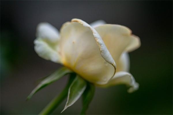 哈爾濱社保個人繳費標準表