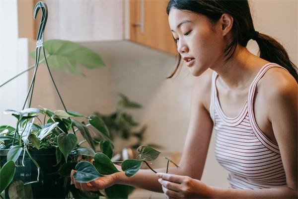 我的社保繳費(fèi)查詢?cè)谀睦锊? width=