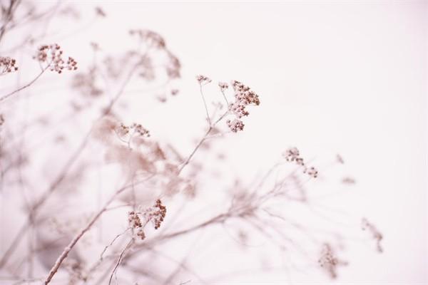 醫(yī)療保險(xiǎn)查詢個(gè)人賬戶繳費(fèi)明細(xì)查詢