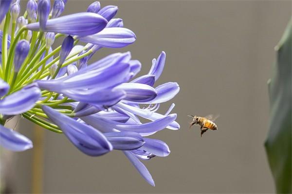 杭州社保最低繳費標(biāo)準是多少