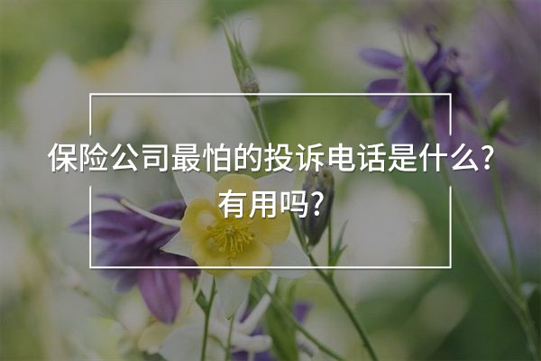 保險公司最怕的投訴電話是