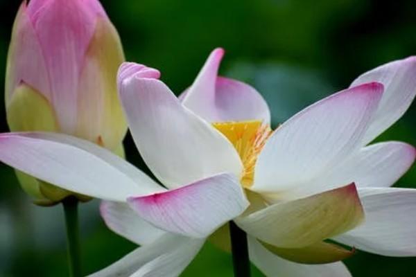 百萬醫(yī)療險和補(bǔ)充醫(yī)療的區(qū)別