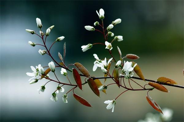 保證續(xù)保的百萬(wàn)醫(yī)療